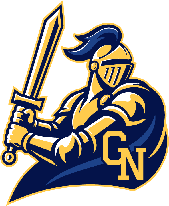 Navbar logo for Newman