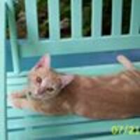 Cathleen profile image