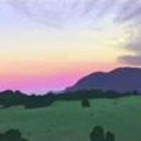 William profile image