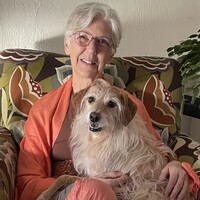 Suzanne profile image
