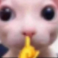 DaShawna profile image