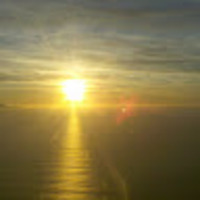 Umut profile image