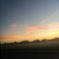 Gabbie profile image