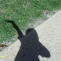 Madeleine profile image