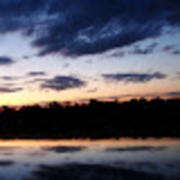 Andrew profile image