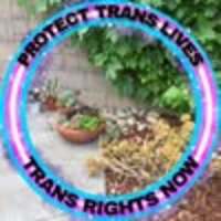 Sharyn profile image