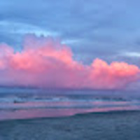 Melanie profile image