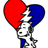 Phoebe profile image