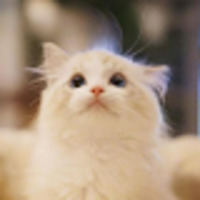 Nathan profile image