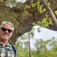 Thomas profile image