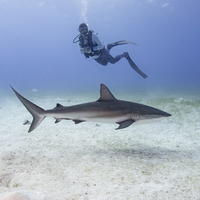 Rachel profile image