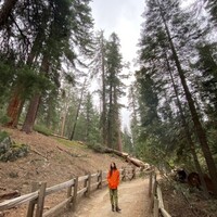 Gabriela profile image