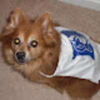 Kristen profile image