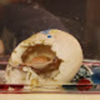 Thalia profile image