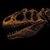 Caeden profile image