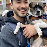 David profile image
