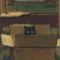 Caitlin profile image