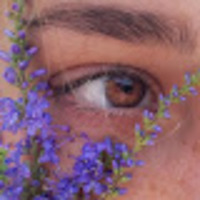 Անի profile image