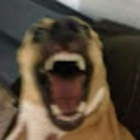 Dakotah profile image