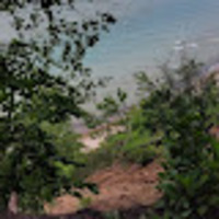 Kody profile image