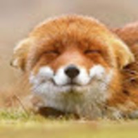 Jovani profile image