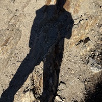 Dwight profile image