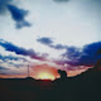 Anush profile image