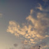 Larina profile image
