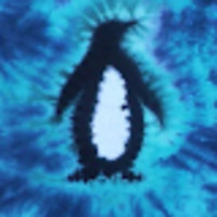 Tessa profile image