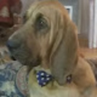 Clay profile image