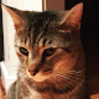 Charlie profile image