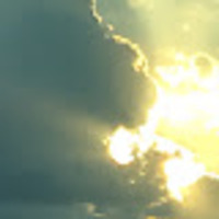 Melissa profile image