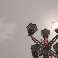 Sabrina profile image