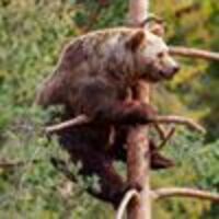 Barrett profile image