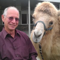 Michael profile image