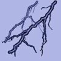 Carolyn profile image