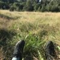 Micaela profile image