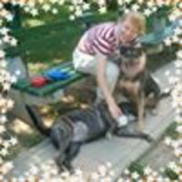 Seka Ivana profile image